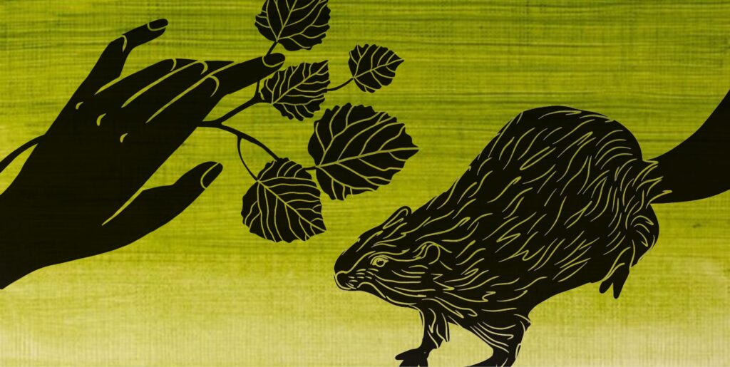 Illustration of a hand holding leaves and a small animal approaching the leaves. The background is green. 