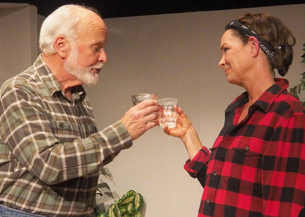 Two people cheers-ing their glasses.